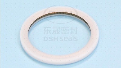 電機轉(zhuǎn)軸密封可以采用PTB泛塞封密封圈